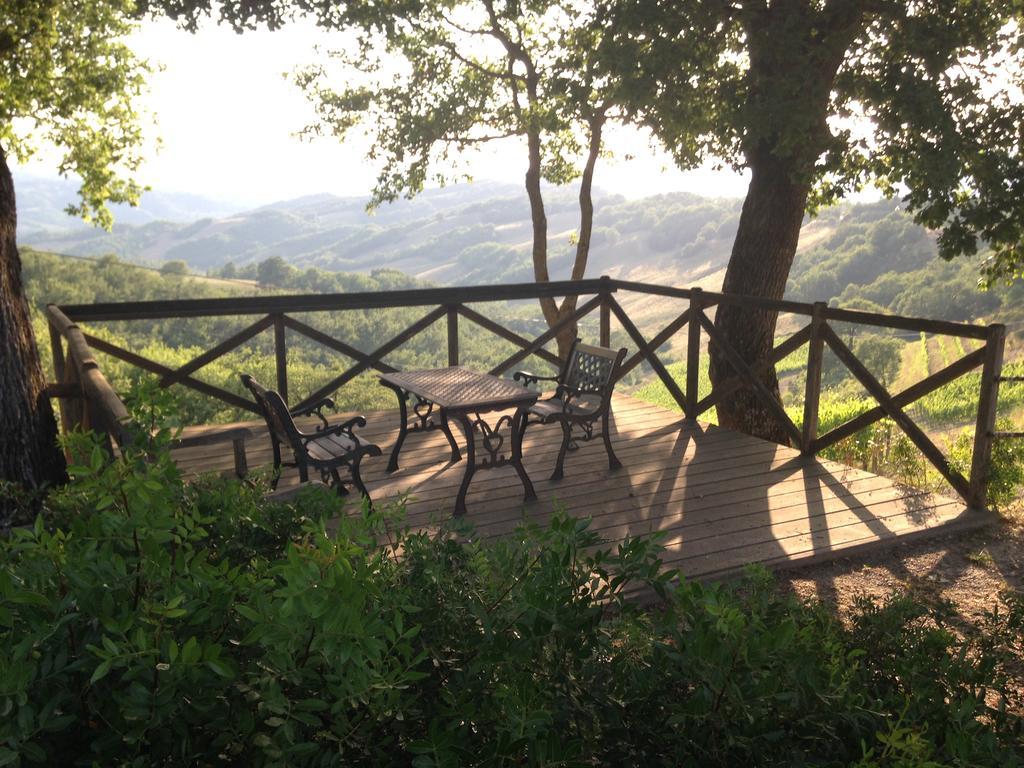 הוילה Casole dʼElsa Agriturismo Erta מראה חיצוני תמונה