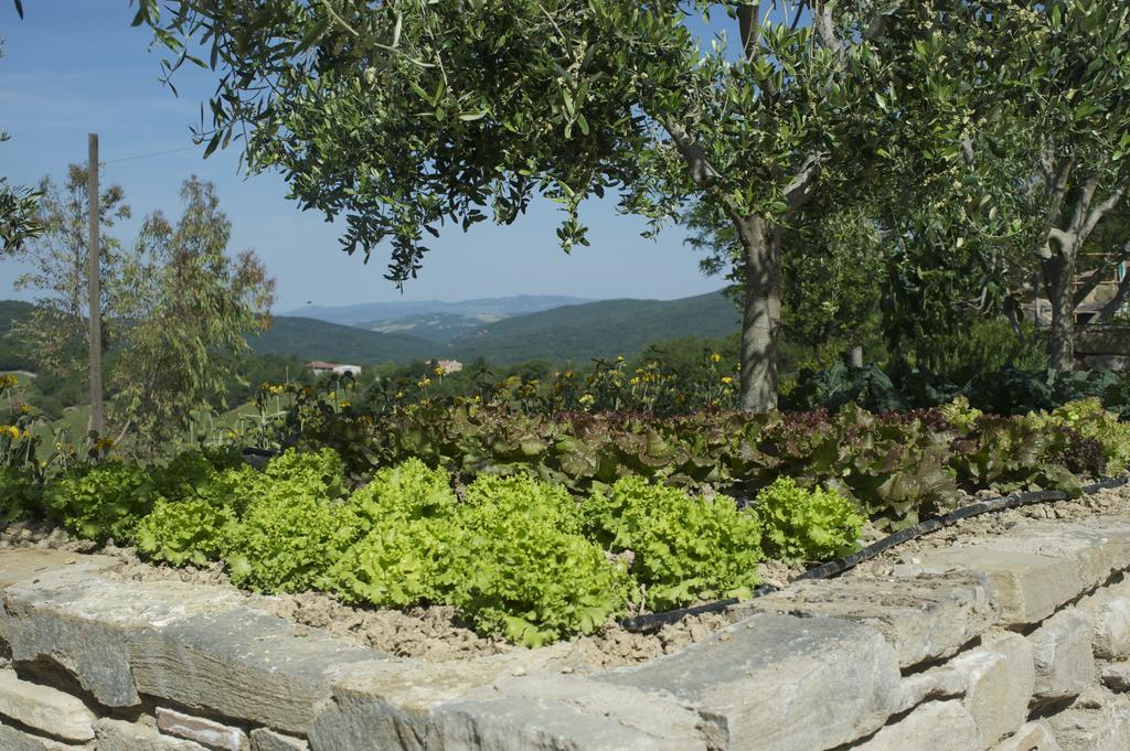 הוילה Casole dʼElsa Agriturismo Erta מראה חיצוני תמונה