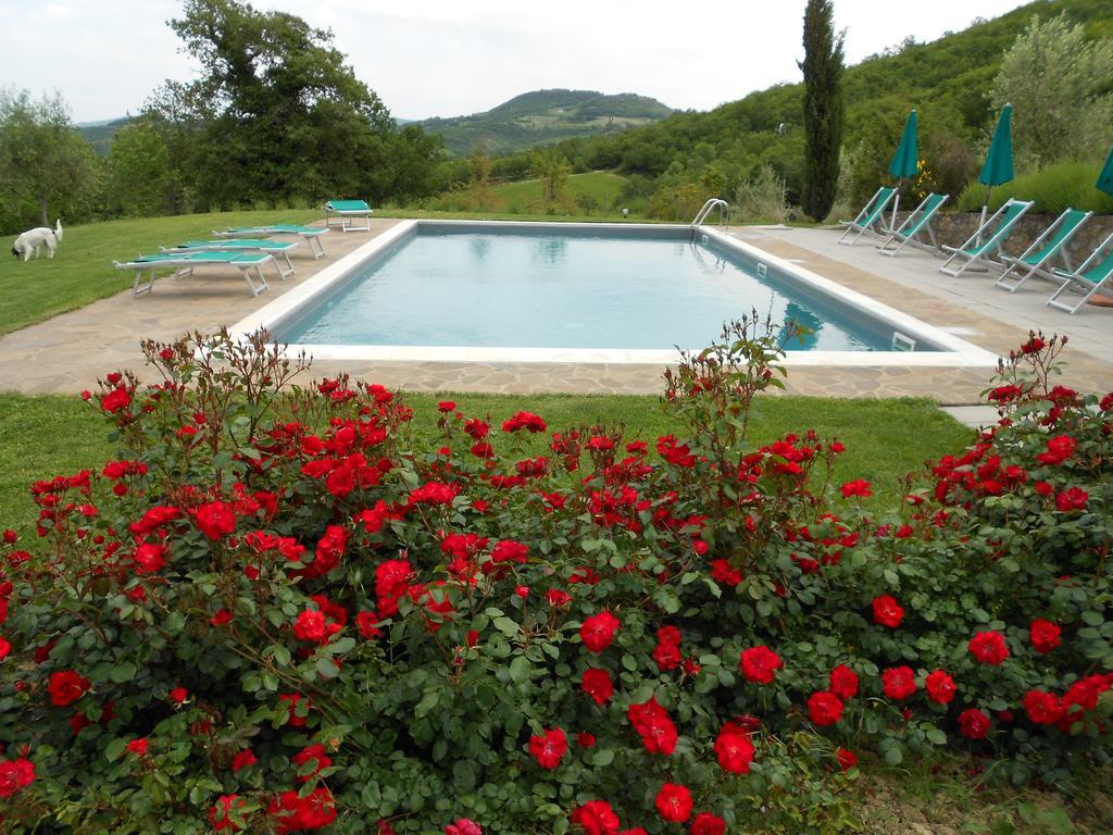 הוילה Casole dʼElsa Agriturismo Erta מראה חיצוני תמונה
