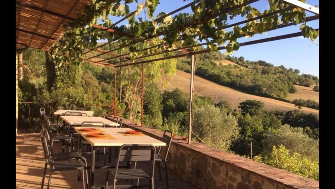 הוילה Casole dʼElsa Agriturismo Erta מראה חיצוני תמונה