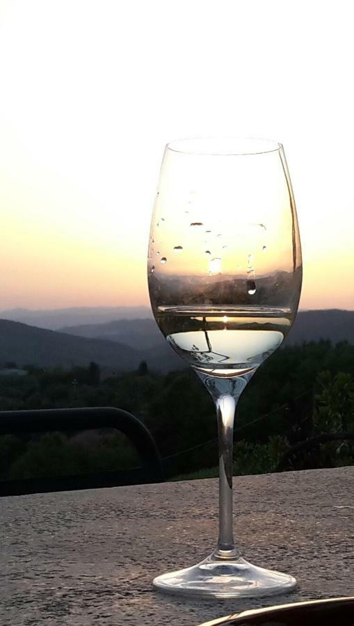 הוילה Casole dʼElsa Agriturismo Erta מראה חיצוני תמונה