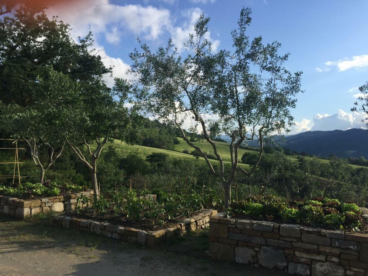 הוילה Casole dʼElsa Agriturismo Erta מראה חיצוני תמונה